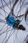 Gallery viewerに画像を読み込む, Fucking Awesome / Cult 26" Cruiser
